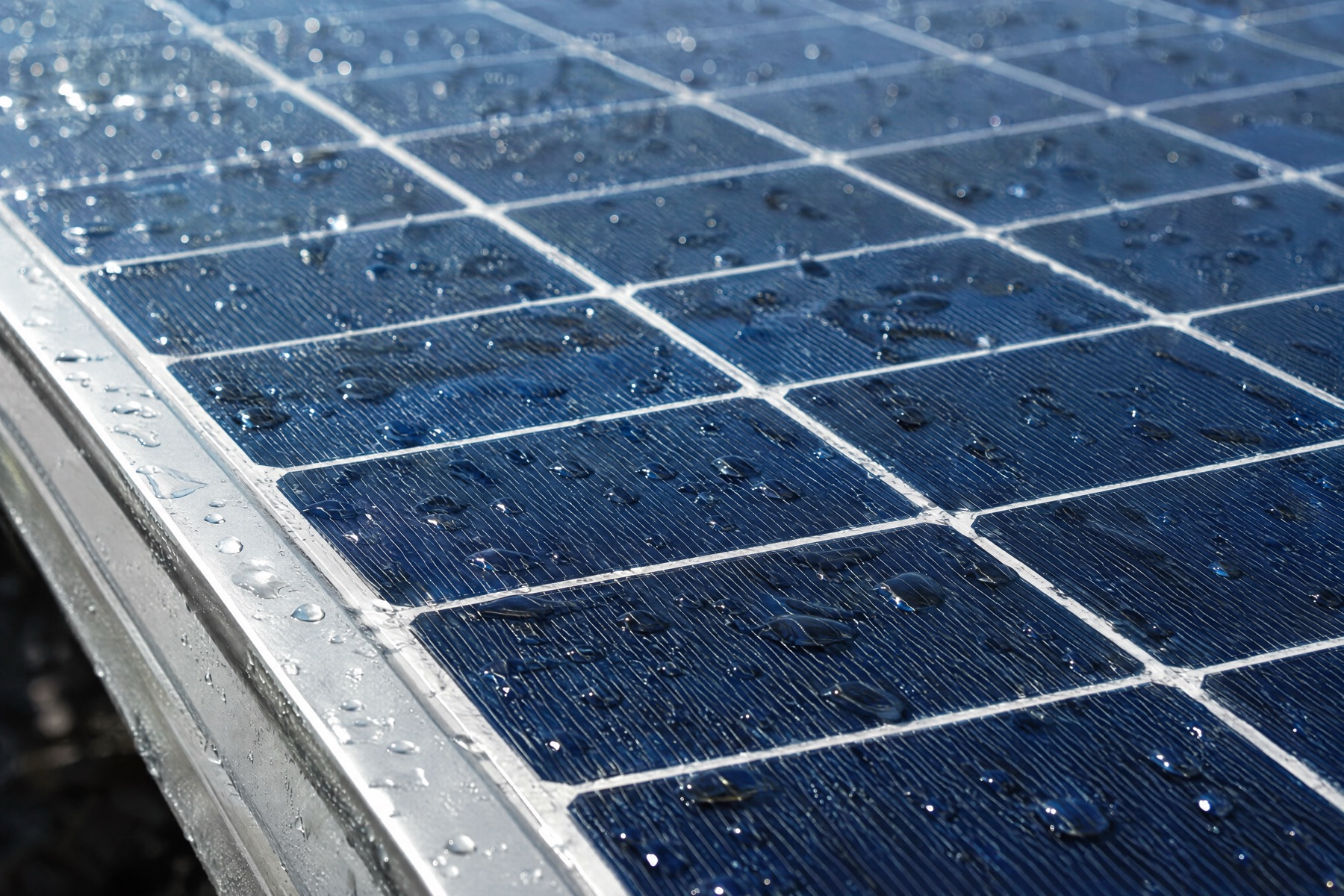 Close-up of dark blue solar cells beaded with morning dew